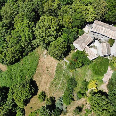 Mas Des Nabieres Bed and Breakfast Saint-Martial  Εξωτερικό φωτογραφία