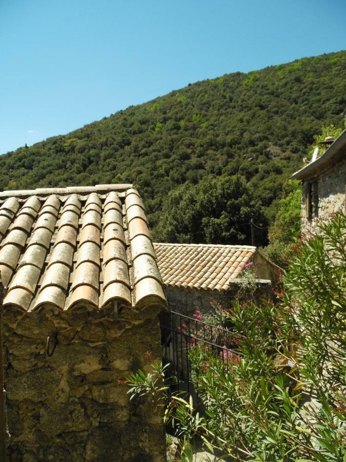 Mas Des Nabieres Bed and Breakfast Saint-Martial  Εξωτερικό φωτογραφία