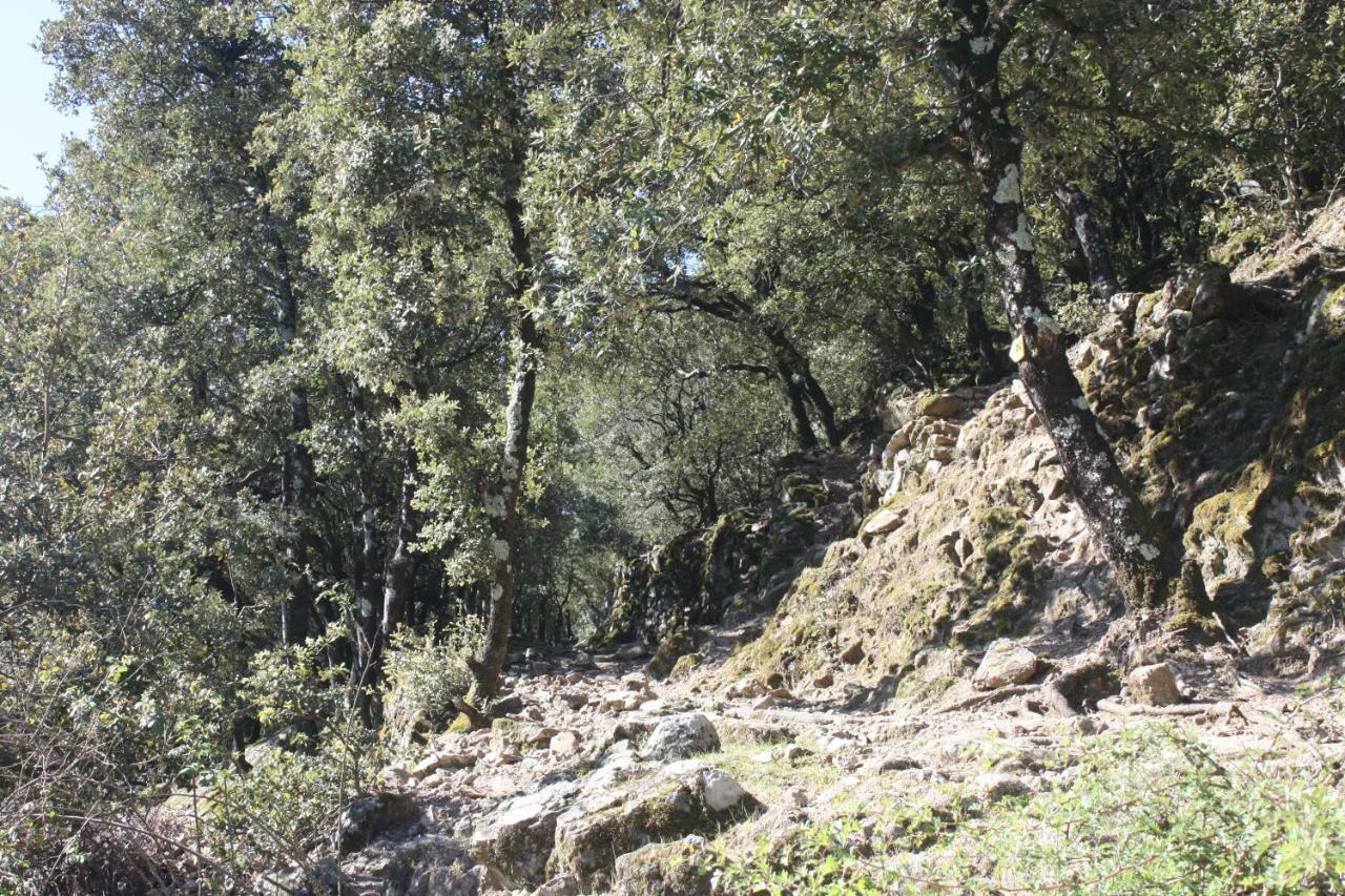 Mas Des Nabieres Bed and Breakfast Saint-Martial  Εξωτερικό φωτογραφία