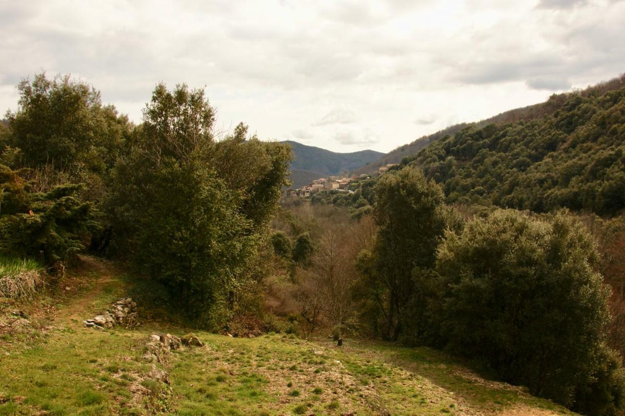 Mas Des Nabieres Bed and Breakfast Saint-Martial  Εξωτερικό φωτογραφία
