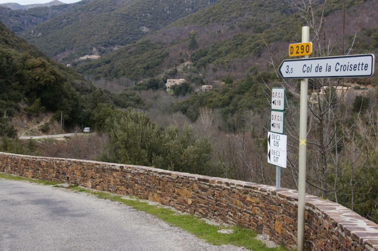 Mas Des Nabieres Bed and Breakfast Saint-Martial  Εξωτερικό φωτογραφία